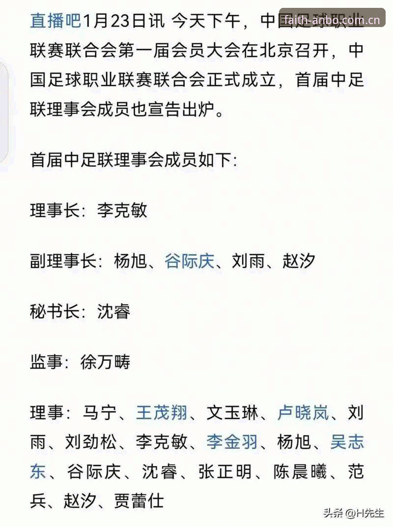 中国足协第三批禁足名单全面解析：17人终身禁足背后的行业治理深度